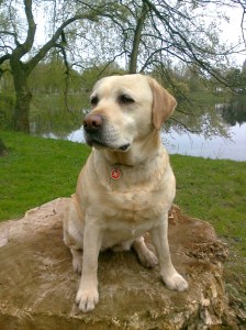 Dana von den Wasserhinkeln (*28.10.2004)